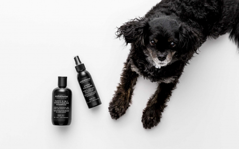 smith&burton幼犬柔護2合1洗毛精(犬適用)250ml／800元、幼犬抗菌護毛噴霧125ml／750元（圖／品牌提供）