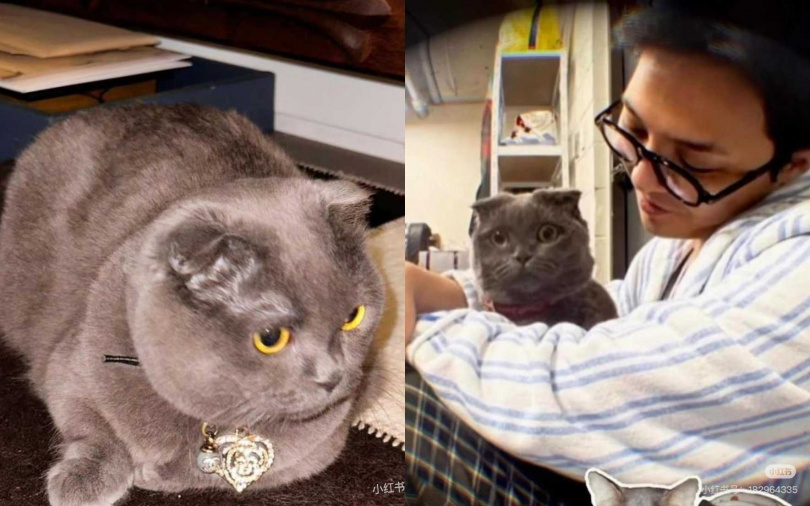 （圖／翻攝自小紅書）