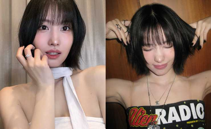 （圖／取自momo IG）