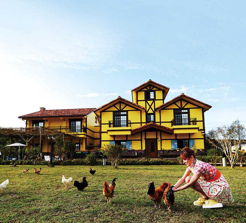 色彩鮮豔的黃色小屋咖啡莊園非常適合拍攝美照，屋主還在前院養雞，讓客人體驗餵雞樂趣。（圖／于魯光攝）
