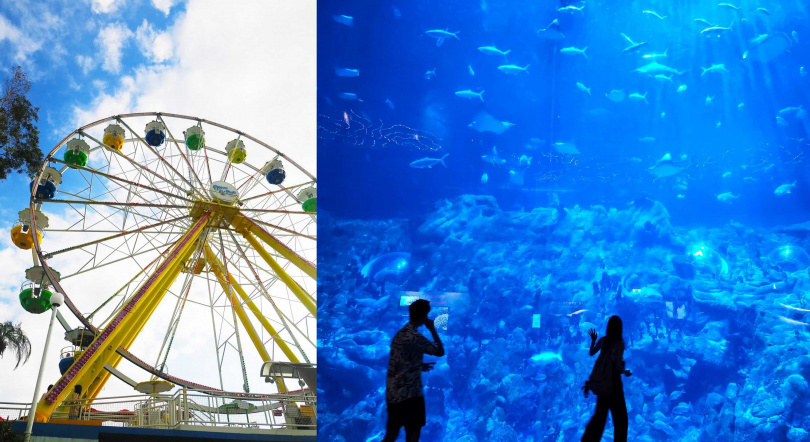 到海洋公園可以搭乘24米高的彩虹「摩天巨輪」（左）居高臨下俯瞰無敵山海景，也可欣賞知名的「海洋奇觀」。（圖／香港海洋公園提供）