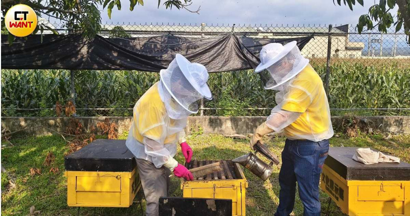 在東和蜂文化觀光工廠的蜂場體驗中,旅客可戴上防蜂帽看專門人員透過煙燻方式暫時驅離蜜蜂、便於採蜜。(圖/魏妤靜攝)