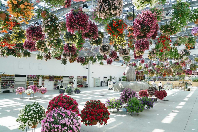 東京新景點「HANA・BIYORI」是讀賣樂園旁的新式花卉公園，擁有超過3百多個花卉吊燈、花卉和數位藝術表演、水族館等。（圖／ ⒸYOMIURI LAND提供）
