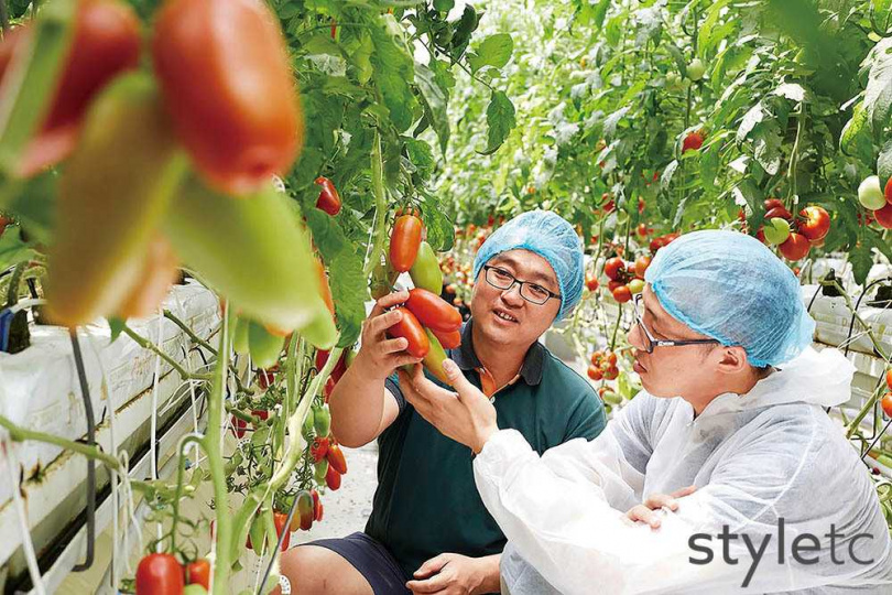 郭能禎（左）創立「番茄方舟」，引進荷蘭玻璃溫室栽種各色番茄。（圖／業者提供）