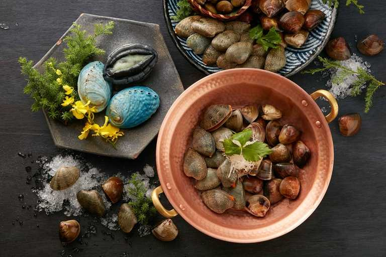 黑毛屋本家SOGO復興店獻上匯聚7種貝類的「鮑魚貝貝鍋」，海味滿滿。