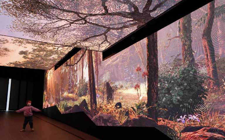 「太平山的綠色寶藏」沉浸式展示牆讓遊客彷彿置身於太平山生態之中，還能體會到日與夜的變化。（圖／魏妤靜攝）
