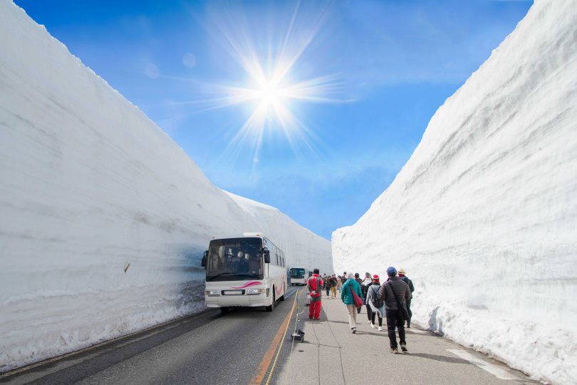勞動節出遊不可錯過期間限定的「立山黑部-雪壁傳奇」，20米高的巨大雪牆令人嘆為觀止。