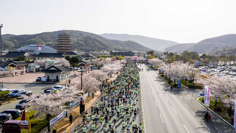 韓國慶州櫻花馬拉松，今年將於4月6日舉辦，共有5K、10K以及21K三種項目供旅人選擇。