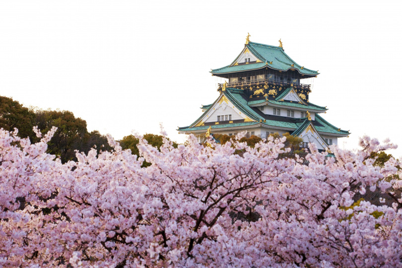 賞櫻最佳時機莫過於4月！日本關西一次走訪京都、大阪、神戶櫻花饗宴，沉浸古都風情。