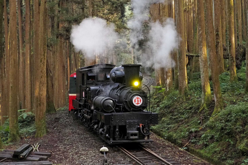 今年唯一趟次阿里山蒸汽檜木列車遊程，隨列車穿梭於森林鐵道欣賞高山楓紅。（圖／雄獅旅遊提供）
