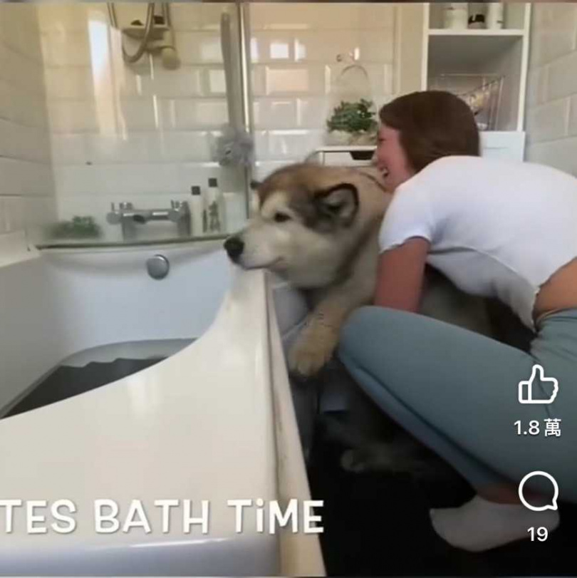 狗狗不想進浴缸。（圖/翻攝自臉書）