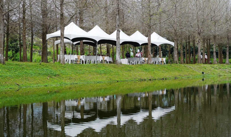 在落羽松黑森林打造野餐空間相當浪漫，預計會成為情侶約會或舉辦儀式的熱門場域。