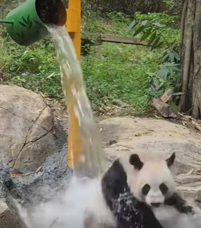 悅悅憑藉卓越觀察力搞定水桶。(圖/翻攝自臉書)