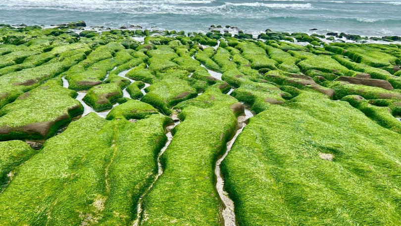 （圖／北觀處提供）