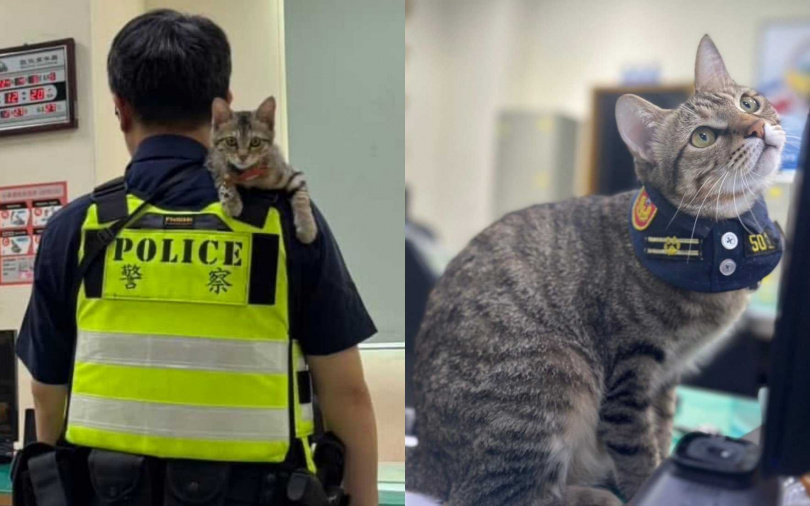 (圖/取自翁子派出所fb)