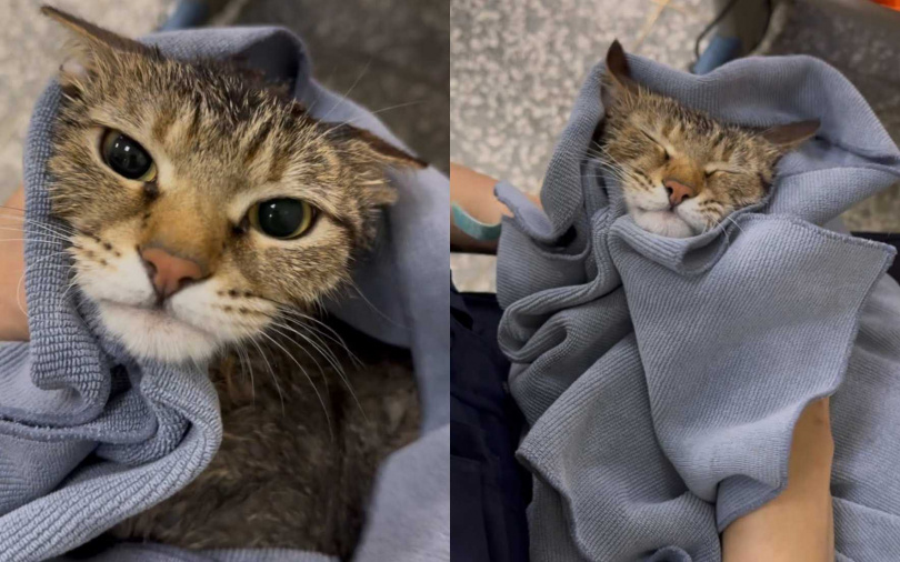 (圖/取自翁子派出所fb)