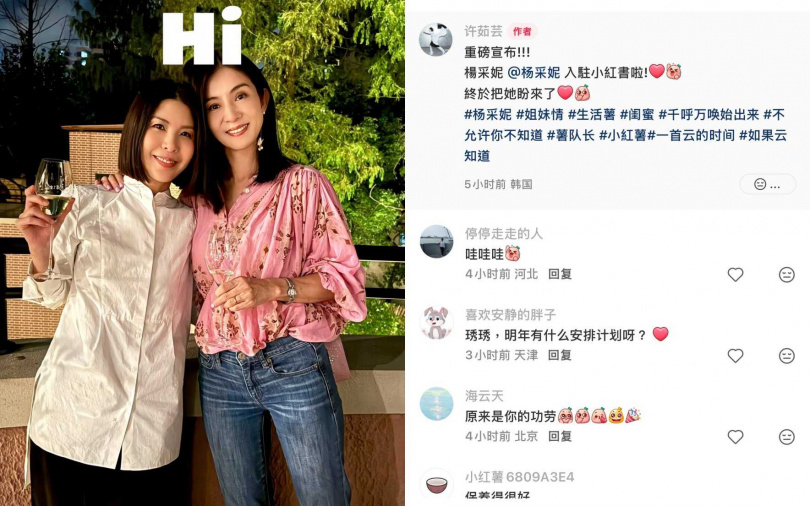 （圖／翻攝自許茹芸小紅書）