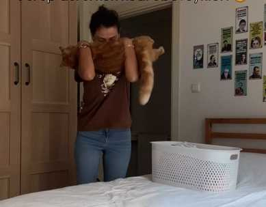 主人家事做到一半順道嚕貓。（圖／翻攝自臉書）