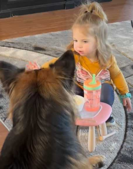 女孩不讓狗狗吃她的零食。（圖／翻攝自臉書）