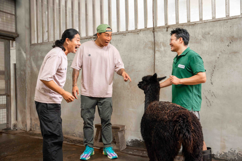 乱彈阿翔（左起）、郭泓志，在動物園裡幫羊駝理毛備餐。（圖／好看娛樂提供）