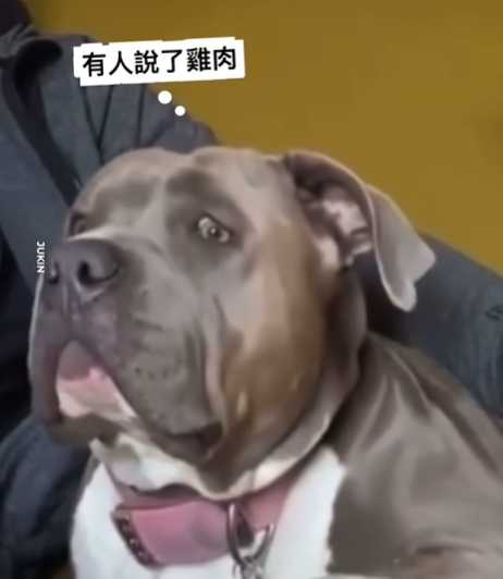 (圖/翻攝自臉書)