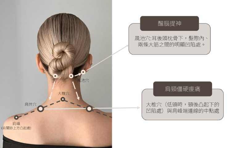 （圖／品牌提供）