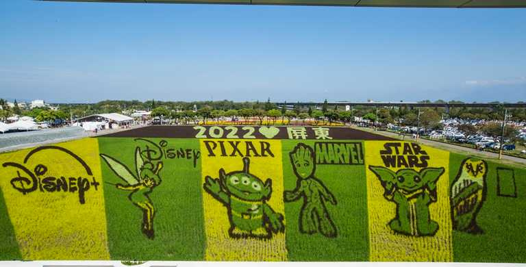 「熱帶農業博覽會」種出迪士尼巨型彩繪稻田，超級吸睛。