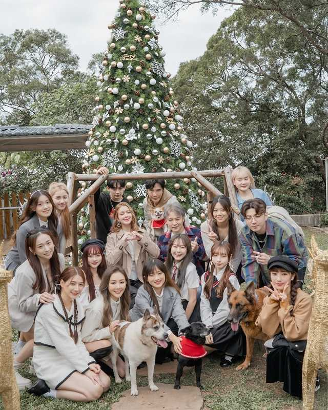 連續兩年楊婷婭都為擔任志工的流浪動物園區「貓村景觀公園」設置耶誕裝置藝術，並帶著藝人好友熊熊等人一同做愛心。（圖／心動藝能提供）