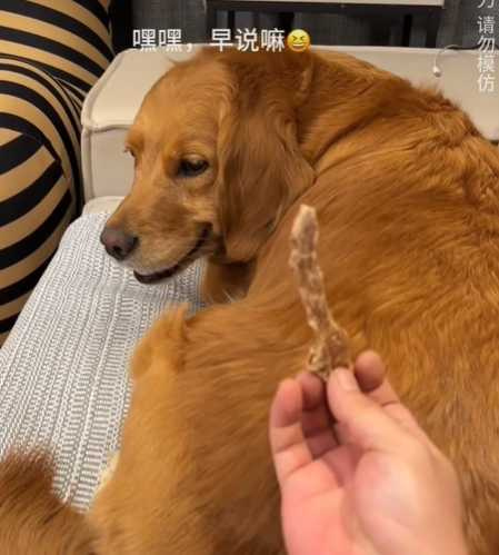 狗狗看到食物露齒笑。（圖／翻攝自臉書）