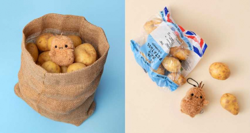 （圖／取自 noodoll IG）