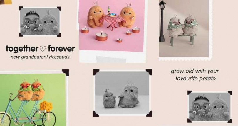 （圖／取自 noodoll IG）