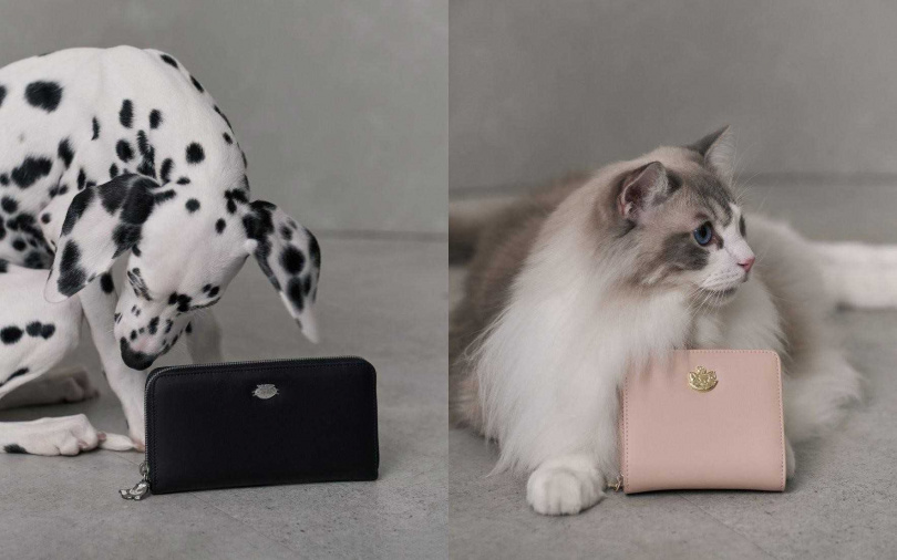 除了包包，零錢包、皮夾的各式小皮件也都幫妳準備好了。（圖／ROBINMAY提供）