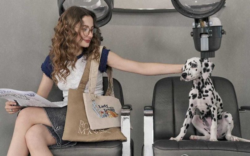 ROBINMAY雙子星雙層肩背包(迪士尼貓狗系列)／1,980元  可以疊用也可以分開配搭的大小帆布袋。（圖／ROBINMAY提供）