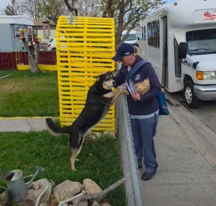 郵差姊姊經過，狗狗開心地伸出小手。（圖／翻攝自臉書）