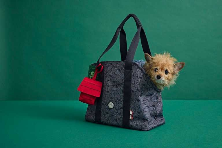 手提側肩寵物包ART M PET BAG及附小包貼身手機包ELVIN皆將紅色狗屋縮小作為收納包，可裝入毛孩零食或是耳機包使用。