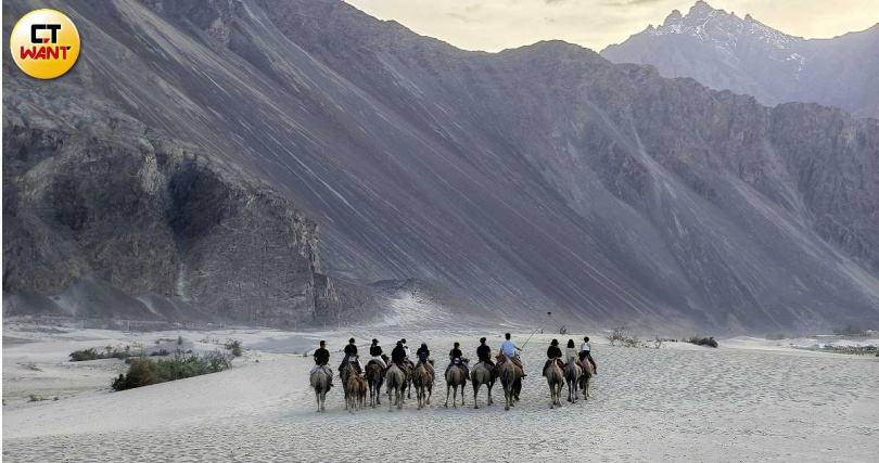 當現代旅人騎上雙峰駱駝,彷彿也變身駱駝商隊向著蒼茫大地前進。(圖/魏妤靜攝)