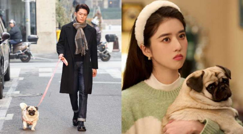 （圖／取自 《他為什麼依然單身》 微博）