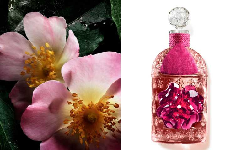 嬌蘭 花冠粉櫻淡香水 琉晶珠櫻蜂印瓶125ml容量瓶身搭配30ml噴霧瓶/29,500元(圖/品牌提供)
