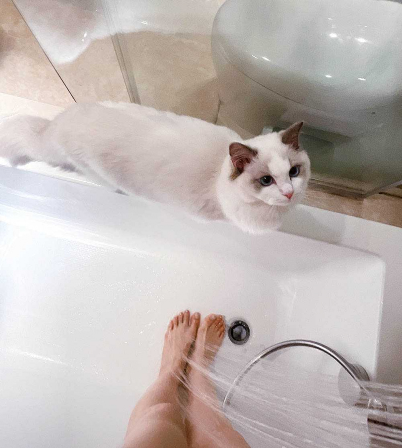 Luna最喜歡坐在浴缸旁邊陪成語蕎洗澡，被噴到水也不在意。（圖／翻攝自成語蕎臉書）