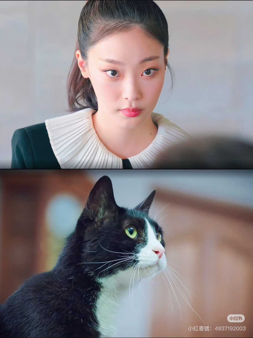(圖/小紅書)