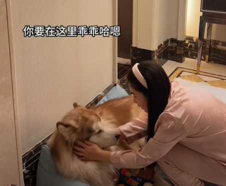 養狗人的心情轉折。(圖/翻攝自臉書)