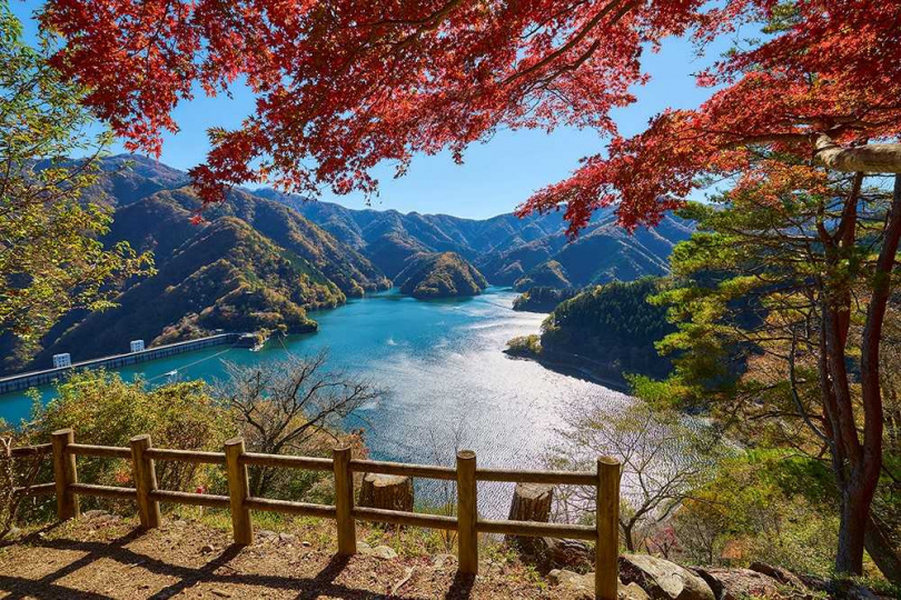 東京多摩地區大自然環抱的奥多摩湖，到了秋季周邊染上楓紅，景色更是迷人。
