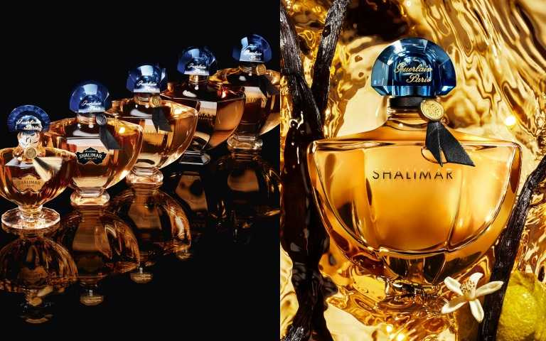 （圖／品牌提供）