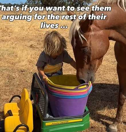 小男孩和馬的感情好。(圖/翻攝自臉書)