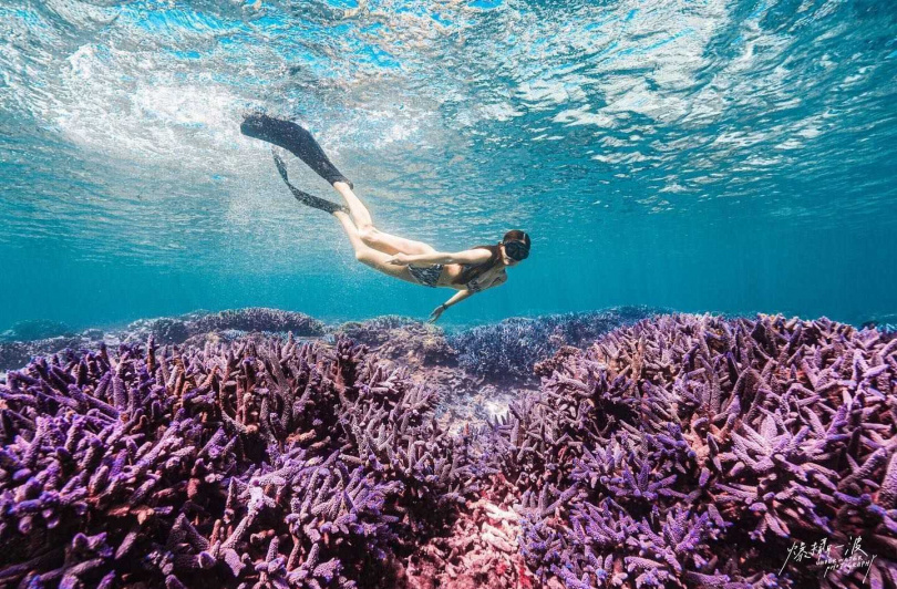 水上活動體驗推薦行程－海底薰衣草秘境浮潛一日遊。