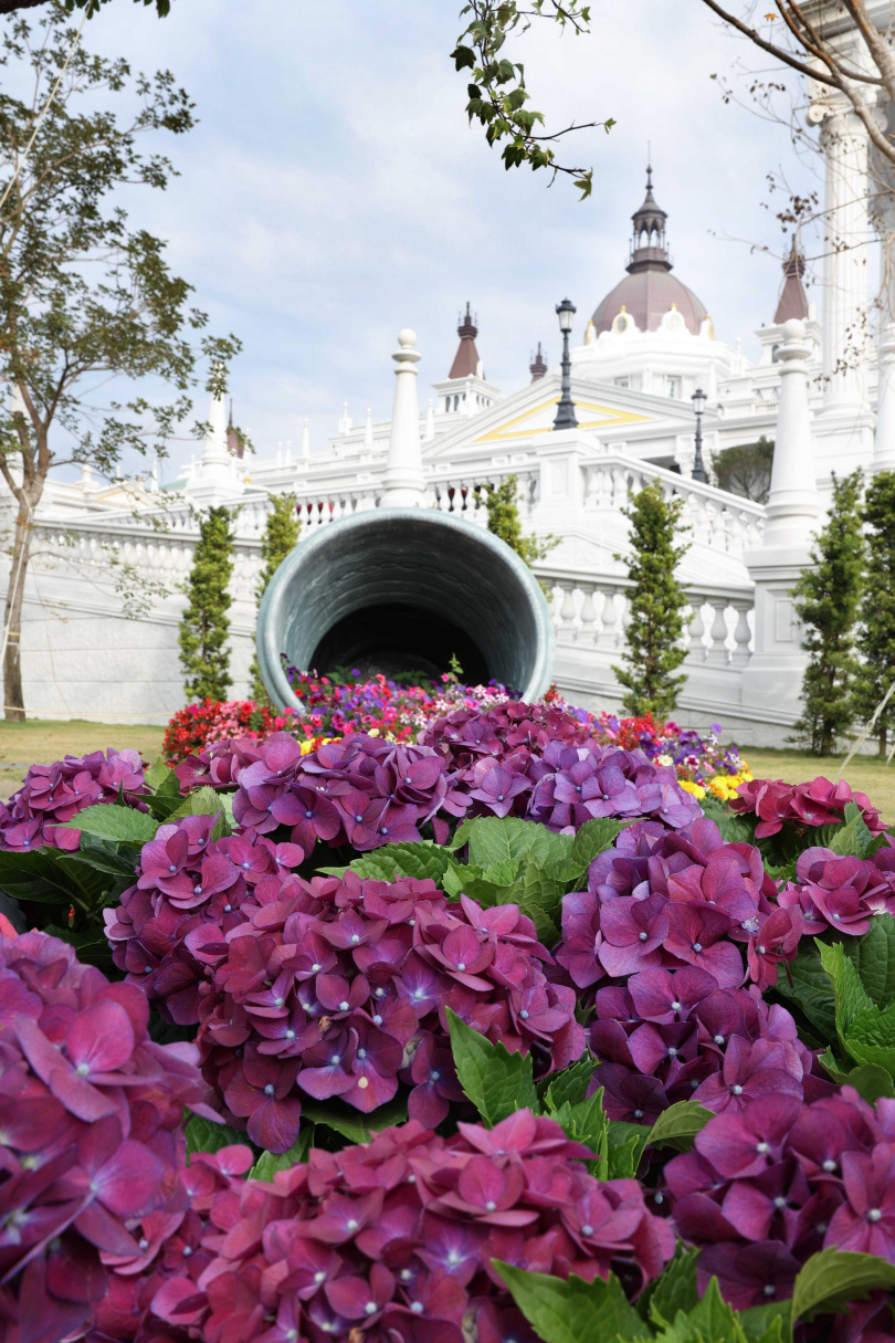 園區內種植上千株紫色繡球花，創造出夢幻童話花海，將歐洲城堡的絕美景緻重現於台灣！（圖/佐登妮絲城堡提供）