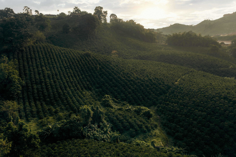 Nespresso攜手雨林聯盟(Rainforest Alliance)實施AAA永續品質計畫，長期致力採用永續方式生產咖啡，今年已滿20年。