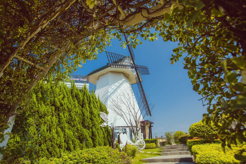 青青風車場景（圖／品牌提供）