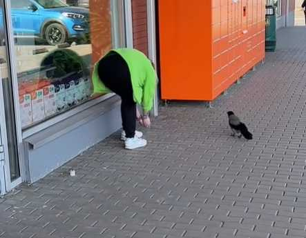 喜鵲有吵有飯吃。(圖/翻攝自臉書)