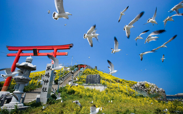 想出國的心情是無法停息的，既然這樣那就先提前做好功課，等疫情結束時立馬衝一波！來場八戶幸運之旅吧～